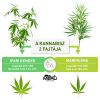 CBD Kannabisz Krém - 150ml