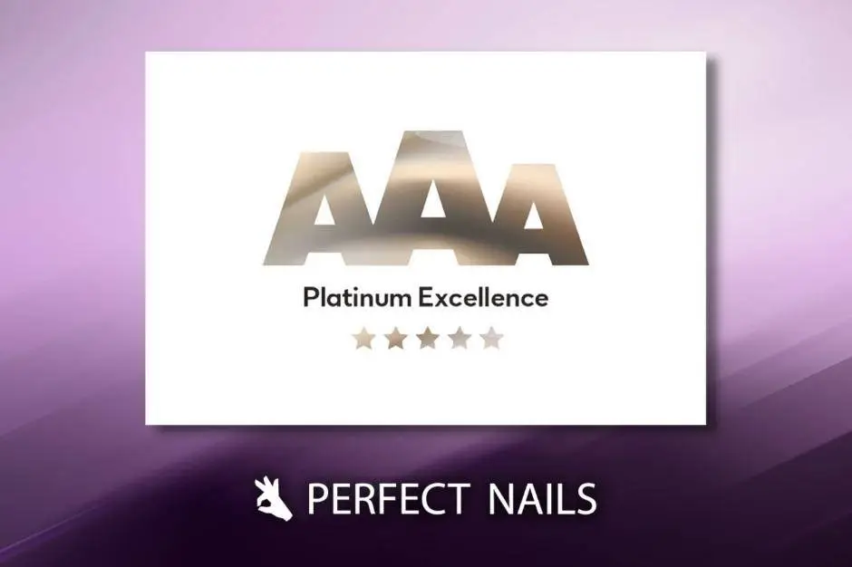 Újabb elismerést kaptunk! – Bisnode Platinum Excellence Tanúsítvány